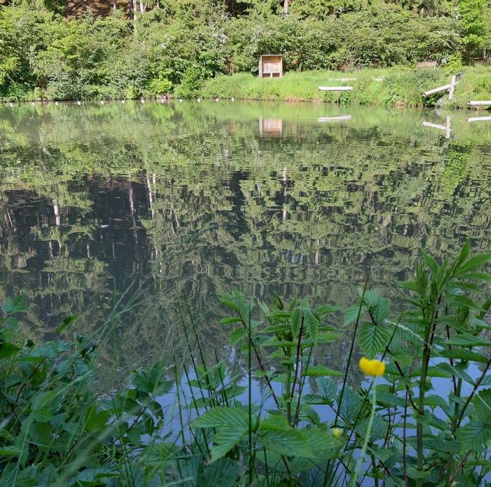 TEICHE UND PREISE Angelparadiessteinbachtal